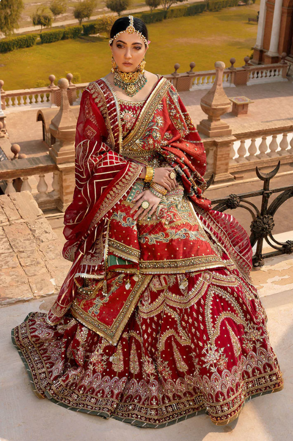 MNR MOHSIN NAVEED RANJHA - Nigarbano
