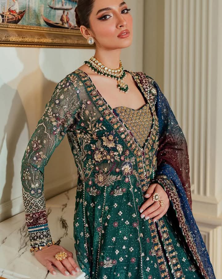 Baroque Chantelle - EMBROIDERED CHIFFON CH13-03