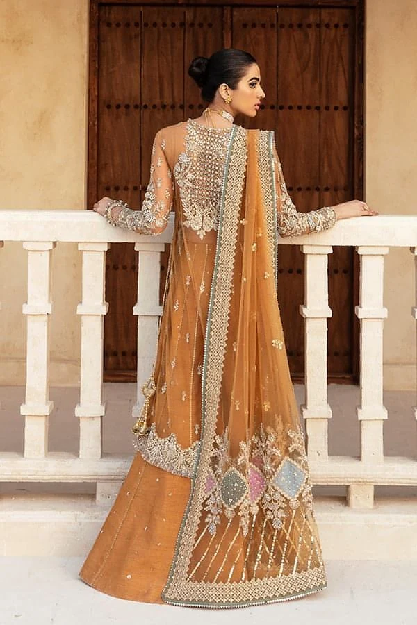 Rust Pakistani wedding outfit with hand embellishment