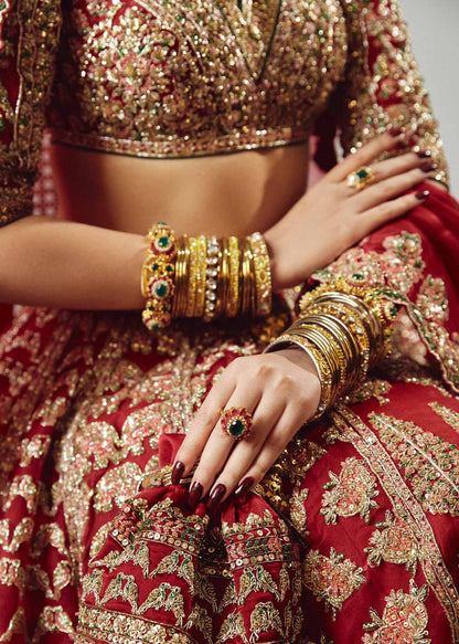Luxury embroidered Pakistani bridal dress