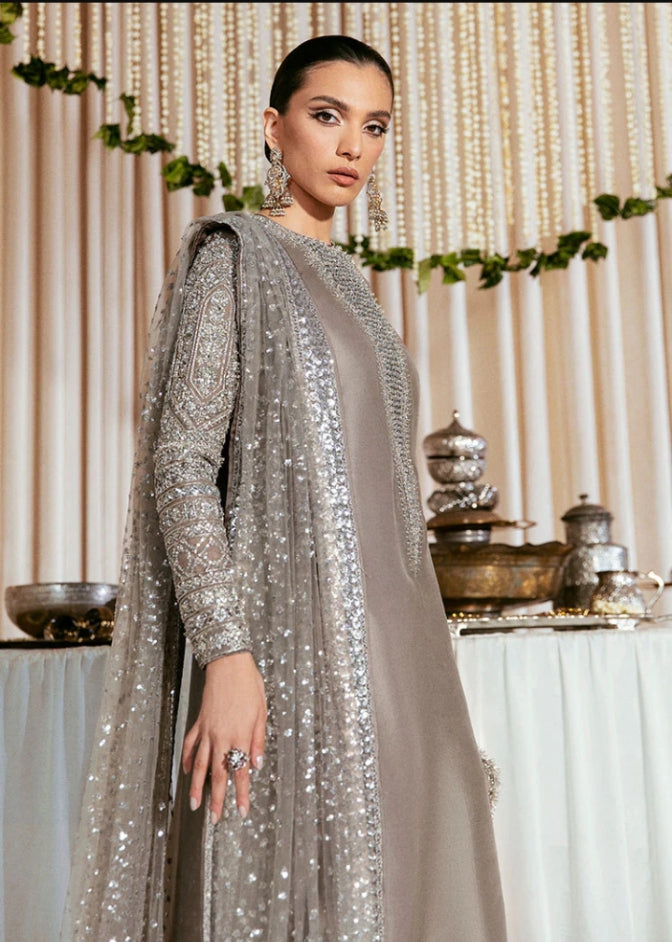 Lucent grey formal outfit with embellished front and organza sleeves