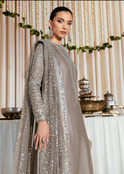 Lucent grey formal outfit with embellished front and organza sleeves