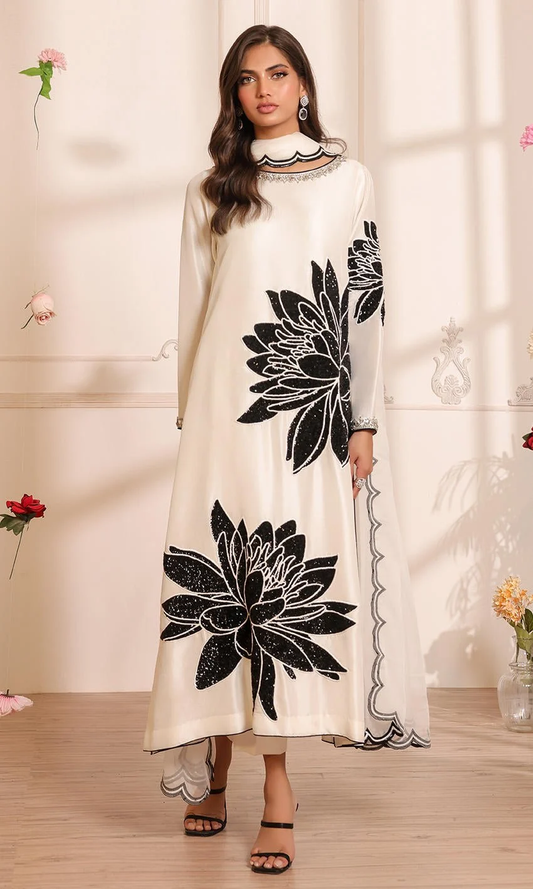 Nomi Ansari – NALP24-25