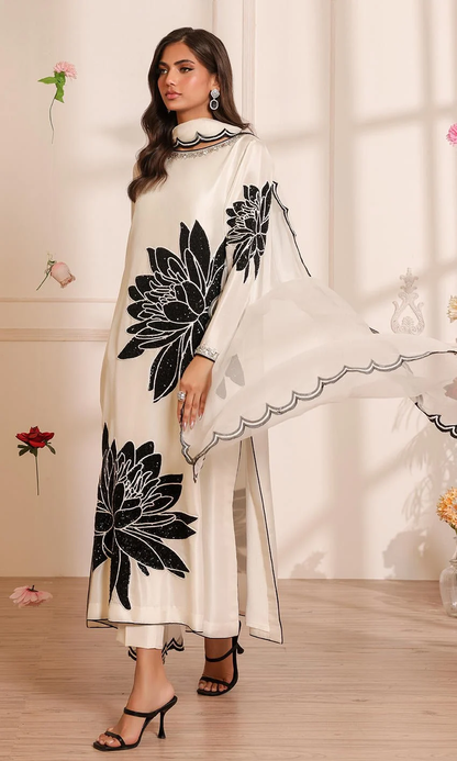 Nomi Ansari – NALP24-25