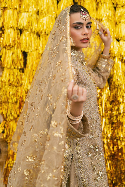 Mohsin Naveed Ranjha (MNR) – Roshni