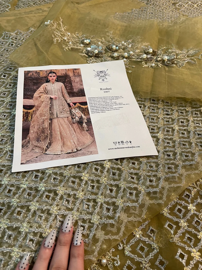 Mohsin Naveed Ranjha (MNR) – Roshni