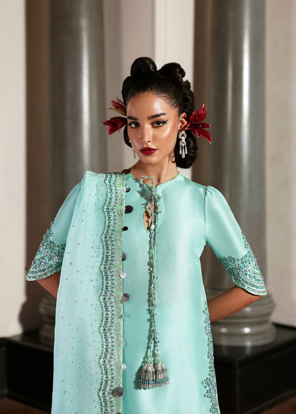 Pakistani wedding guest and festive formal dress