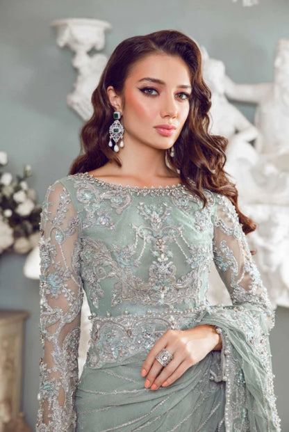 Sage green Pakistani saree with silver embroidery