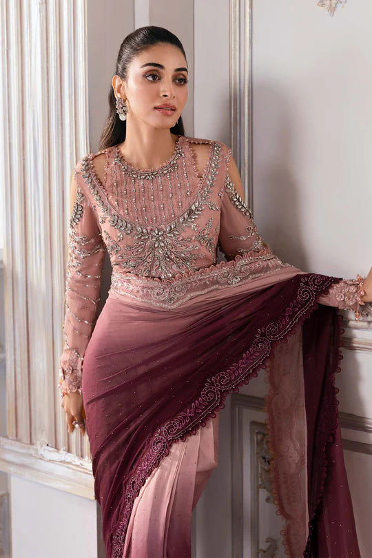Embroidered Pakistani saree with detailed blouse