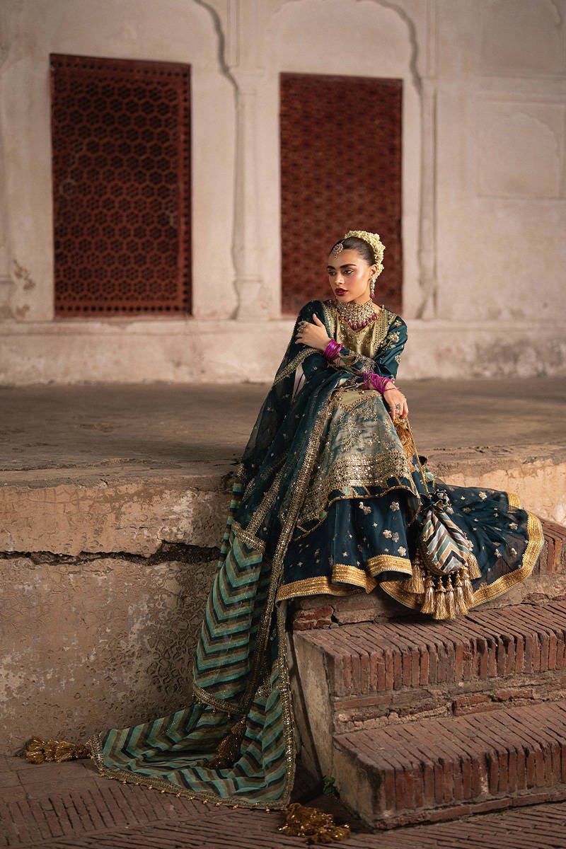 Lehar organza dupatta with striped pallu detailing