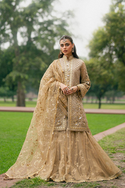 Olive gold sharara with embroidered organza dupatta