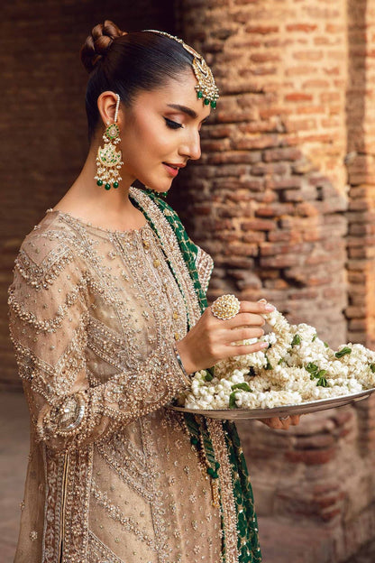 Pakistani formal suit with detailed embroidery