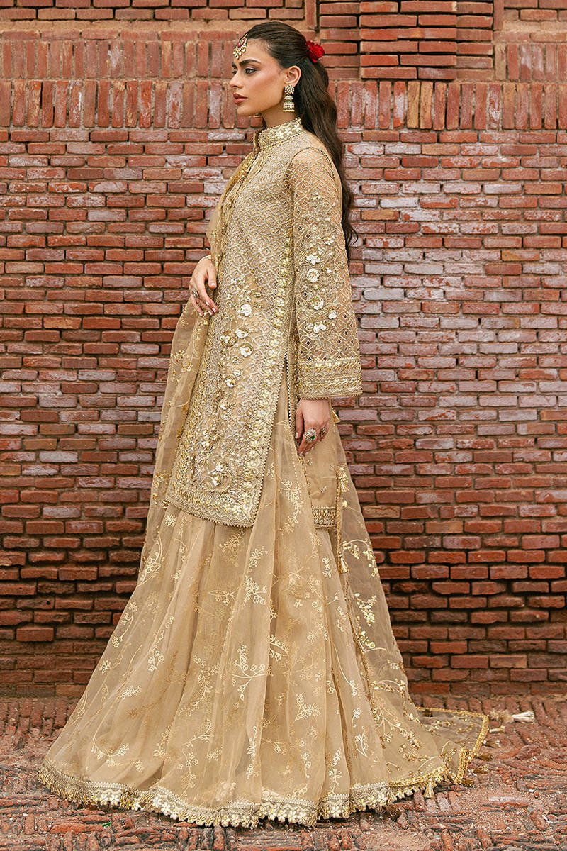Roshni embroidered Pakistani formal wear with hand embellishments