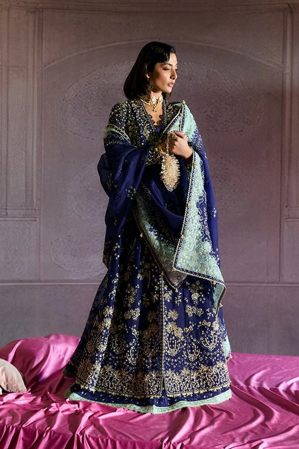 Rishaal hand embellished indigo outfit