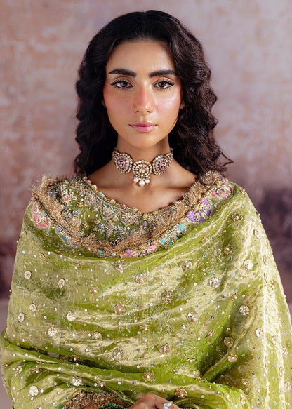 Sara Rohale Asghar - Shadan