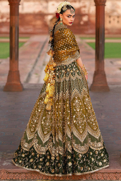 Mohsin Naveed Ranjha (MNR) - Afsana