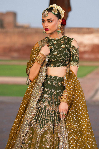 Mohsin Naveed Ranjha (MNR) - Afsana