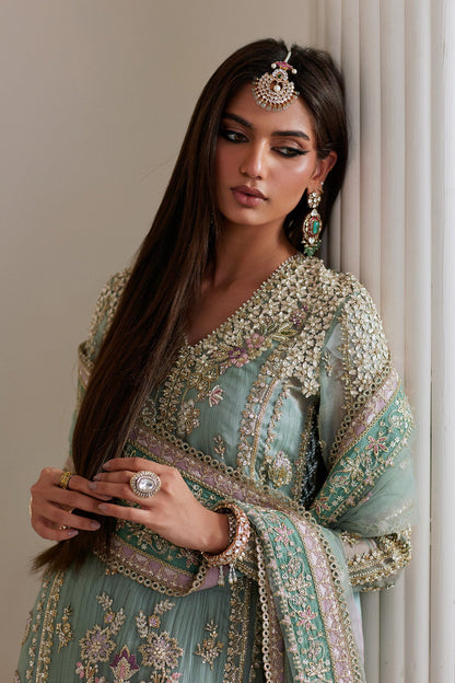 Saad Bin Shahzad - Isla