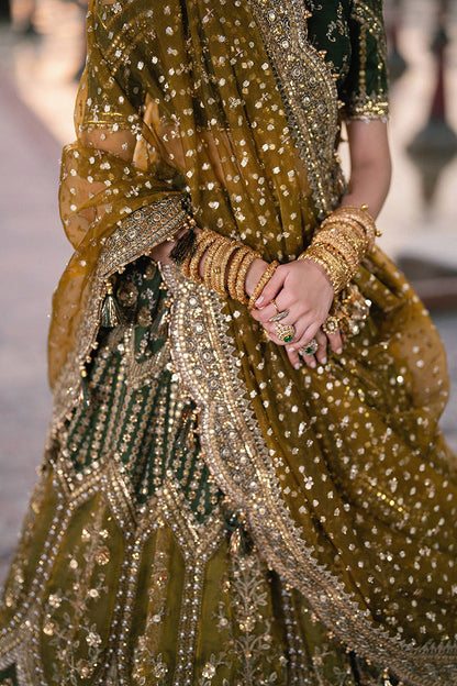 Mohsin Naveed Ranjha (MNR) - Afsana