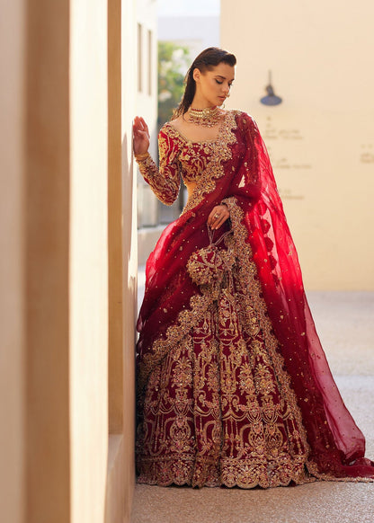 Kanwal Malik-Zarwa