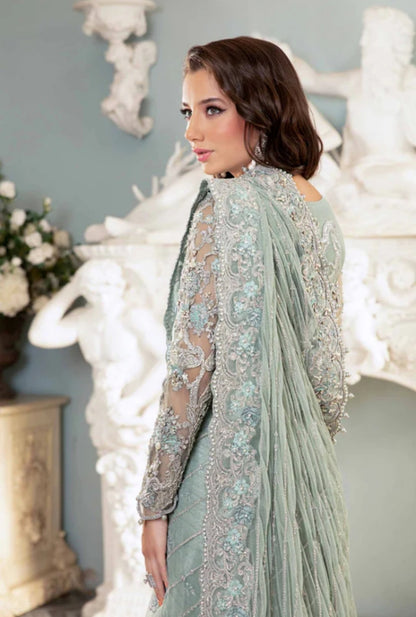 Sage green embroidered blouse with sheer saree