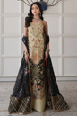 Saira Shakira Noire Sable champagne-gold and black formal ensemble
