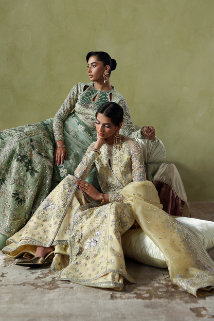 Soraya Liora embroidered organza dupatta
