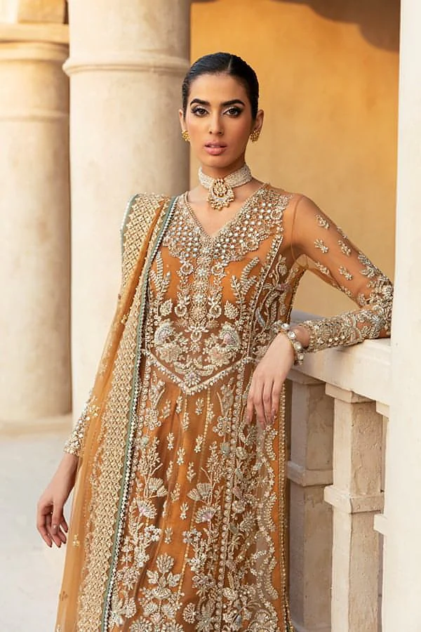 Rust Pakistani formal suit with embellished shirt