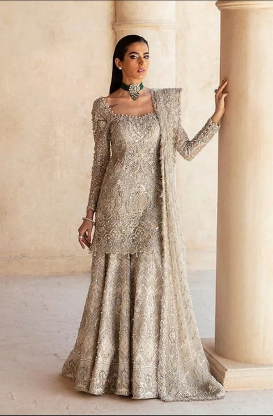 Soraya Opulent ash white embroidered ensemble